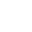 Icon Logo